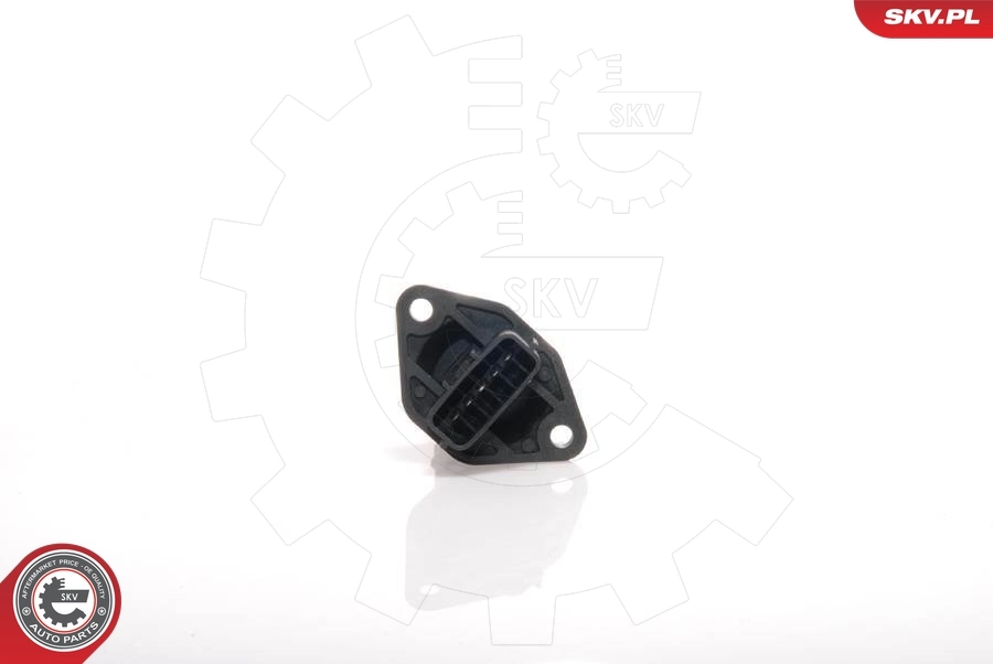 Mass Air Flow Sensor